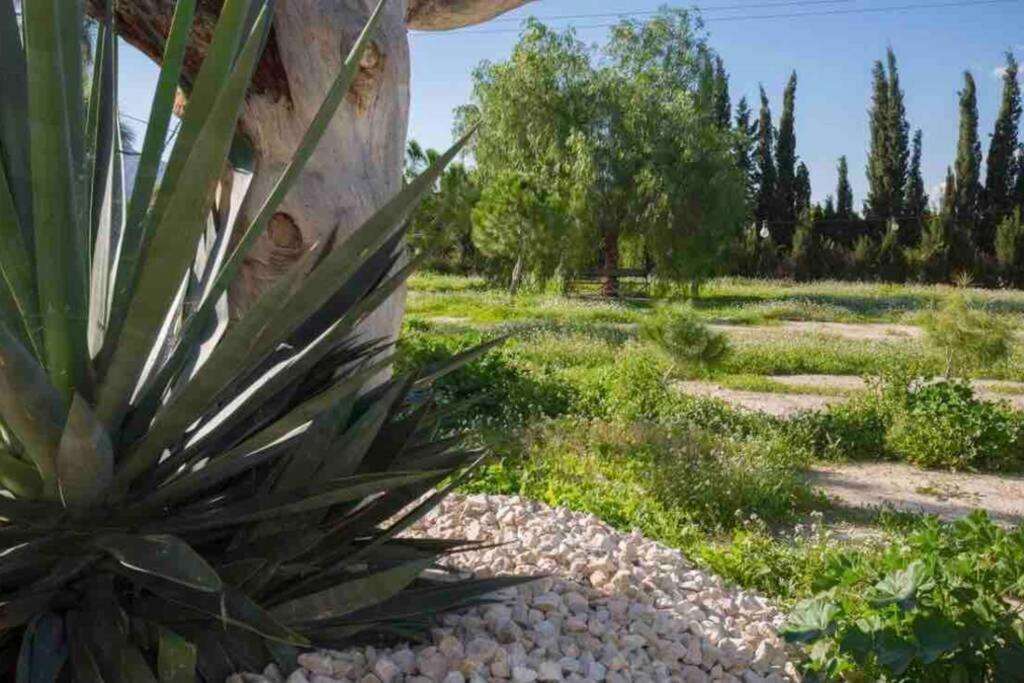 Villa Fina Murcia Exterior photo